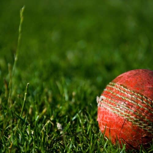 Red cricket ball on green grass